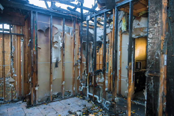 Professional Odor Removal technician working in Kokomo, IN